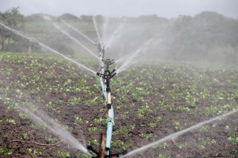 Garden Irrigation Costs in the UK: A Comprehensive Guide