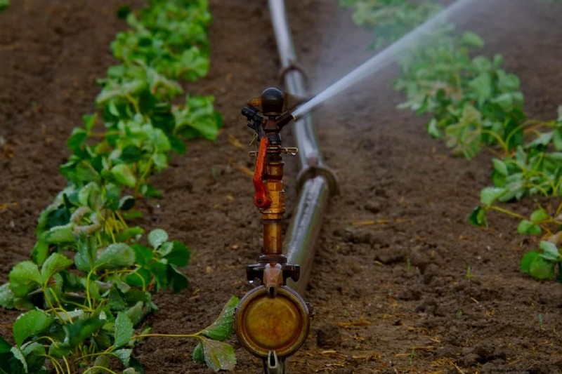 Garden Irrigation Costs in the UK: A Comprehensive Guide