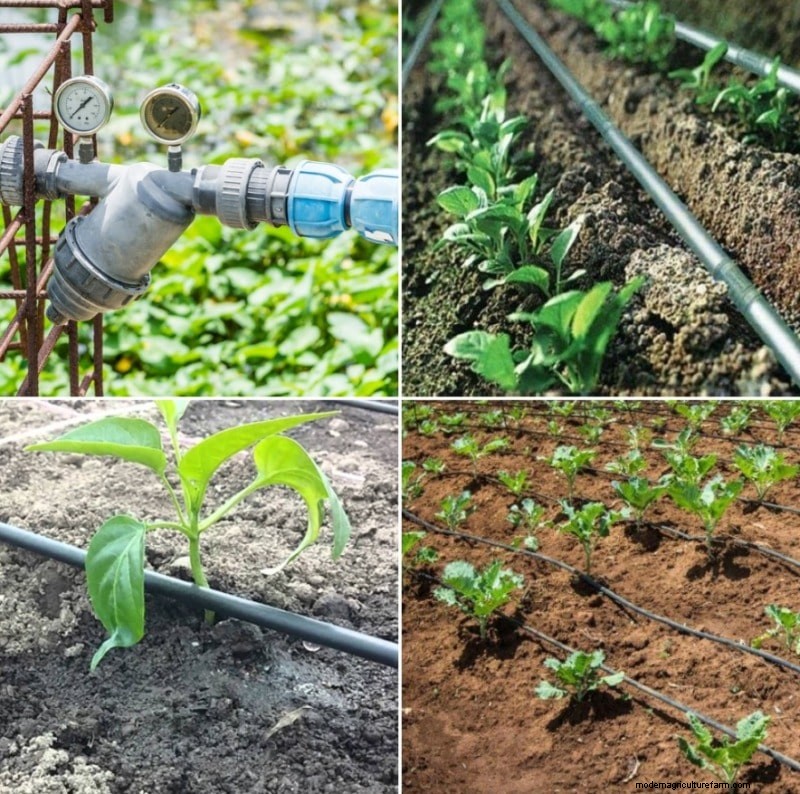 Garden Irrigation Costs in the UK: A Comprehensive Guide