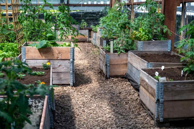 Raised Bed Garden Costs: A Comprehensive Budgeting Guide
