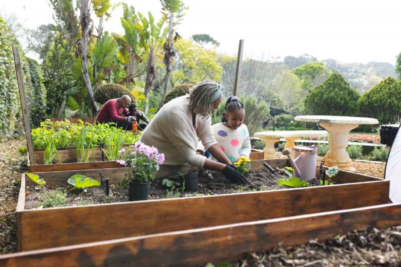 Raised Bed Garden Costs: A Comprehensive Budgeting Guide