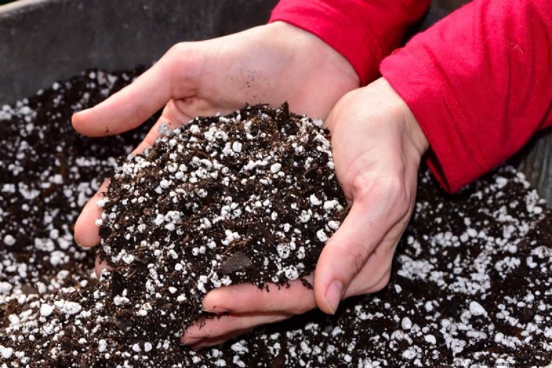 Optimal Soil for Saffron: A Gardener s Guide to Preparation