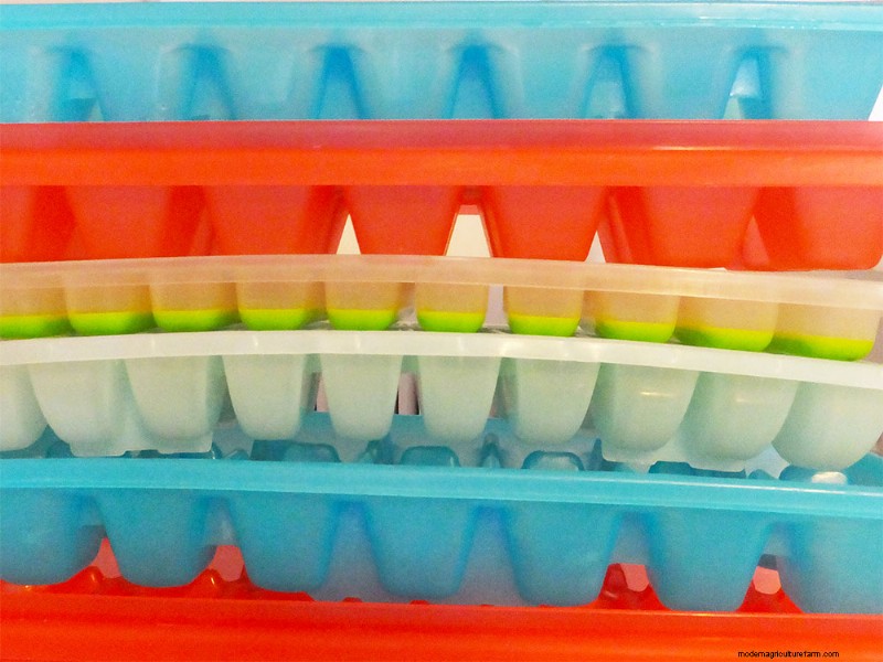 DIY Seedling Containers: 6 Budget-Friendly & Eco-Friendly Options