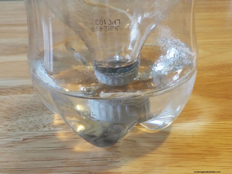 DIY Seedling Containers: 6 Budget-Friendly & Eco-Friendly Options