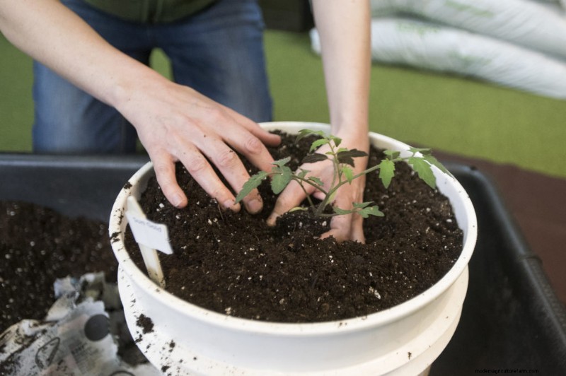 Best Gardening Books for Beginners: Start Your Green Journey