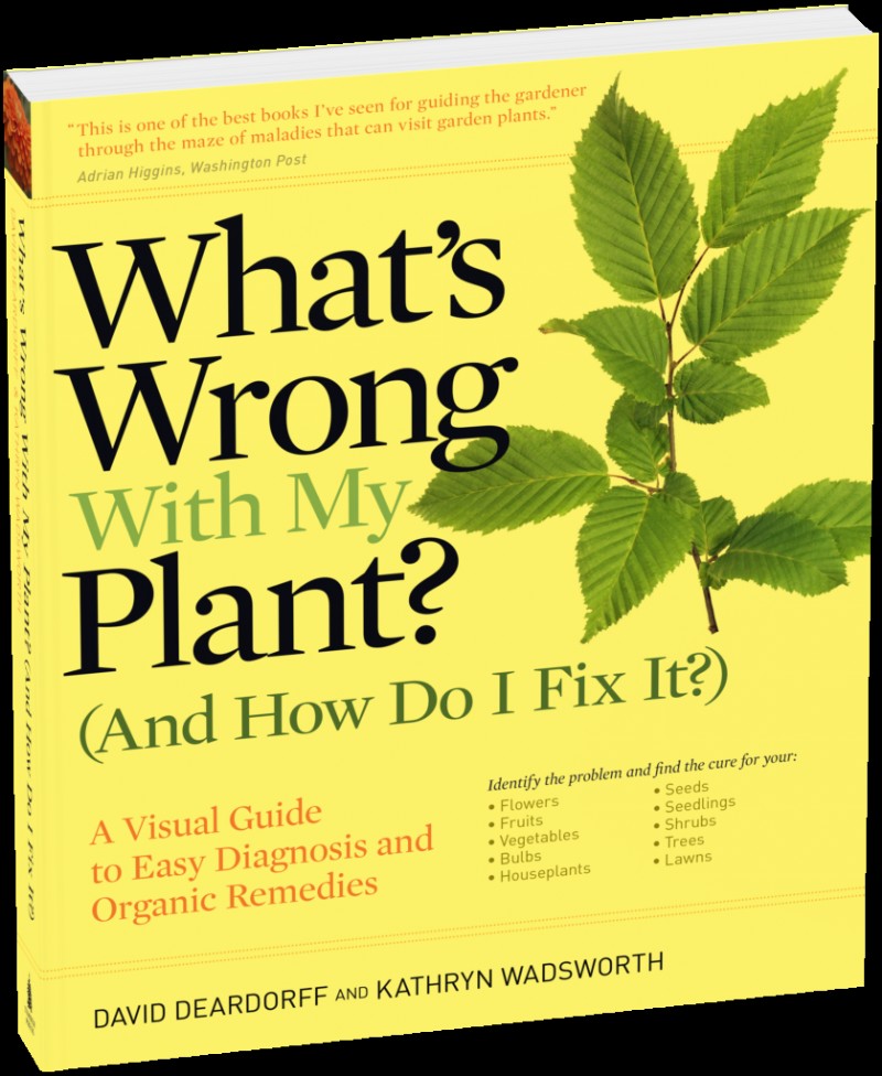 Best Gardening Books for Beginners: Start Your Green Journey
