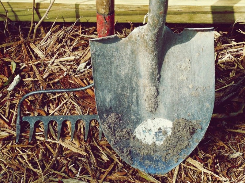 Essential Gardening Tools for Beginners: A Comprehensive Guide