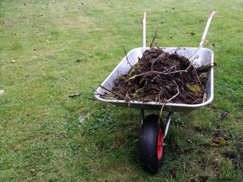 Essential Gardening Tools for Beginners: A Comprehensive Guide