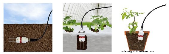 SM150T Soil Moisture & Temperature Sensor | Delta-T Devices