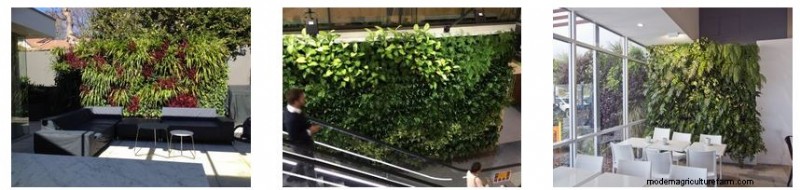 Gro-Wall® Slim Pro: Advanced Irrigation for Vertical Gardens | Atlantis Corporation