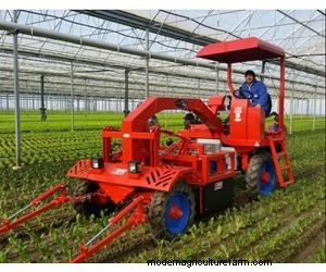 Ferrari Growtech Remoweed: Automatic Weeder for Row & Inter-Plant Weeding