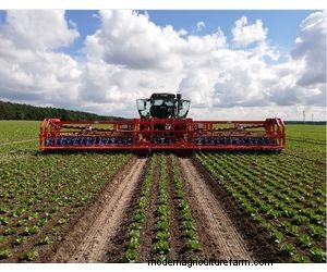 Ferrari Growtech Remoweed: Automatic Weeder for Row & Inter-Plant Weeding