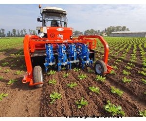 Ferrari Growtech Remoweed: Automatic Weeder for Row & Inter-Plant Weeding