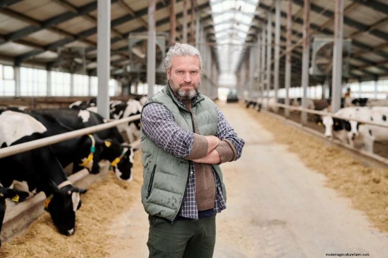 Dairy Farm Business Plan: A Complete Guide to Success