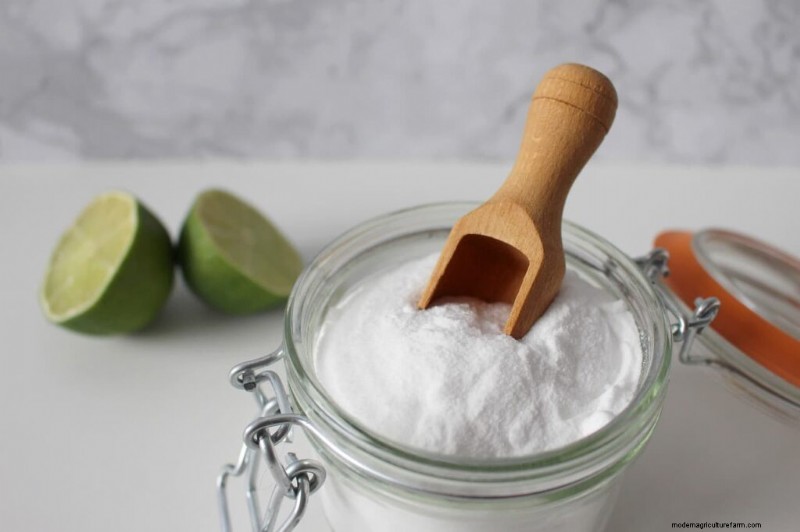 Baking Soda for Livestock: A Comprehensive Guide to Animal Health & Hygiene