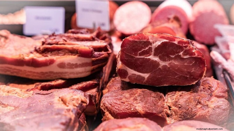 Sheep Farming in the Middle East: A Profitability Guide for Mutton Markets