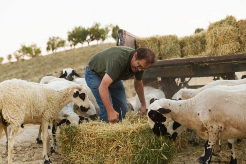 Natural Livestock Farming: Sustainable Practices for Health & Productivity