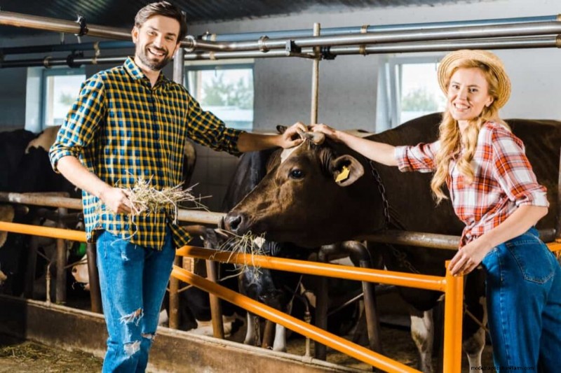 Cattle Farming Profitability: Revenue, Expenses & Market Trends