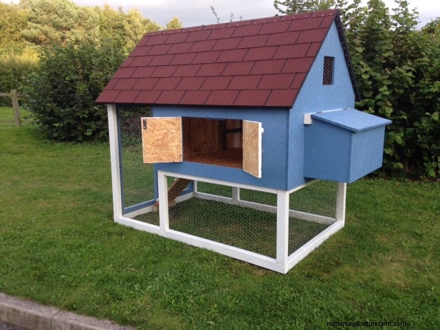 Raising Chickens in Small Spaces: A Comprehensive Guide