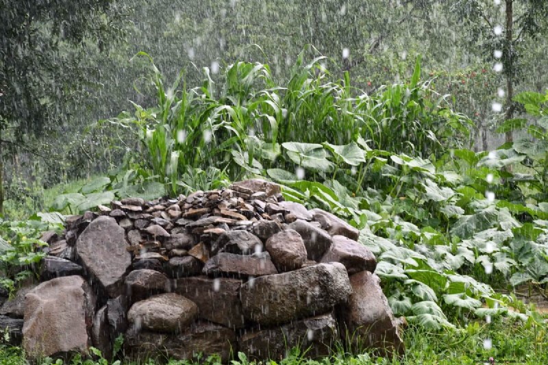 No-Dig Gardening: 5 Hidden Challenges & How to Overcome Them