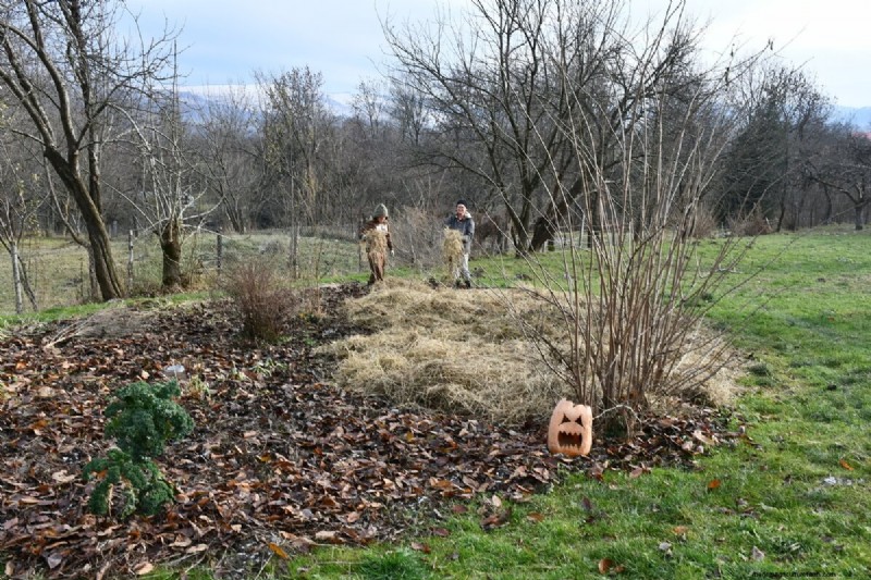 No-Dig Gardening: 5 Hidden Challenges & How to Overcome Them