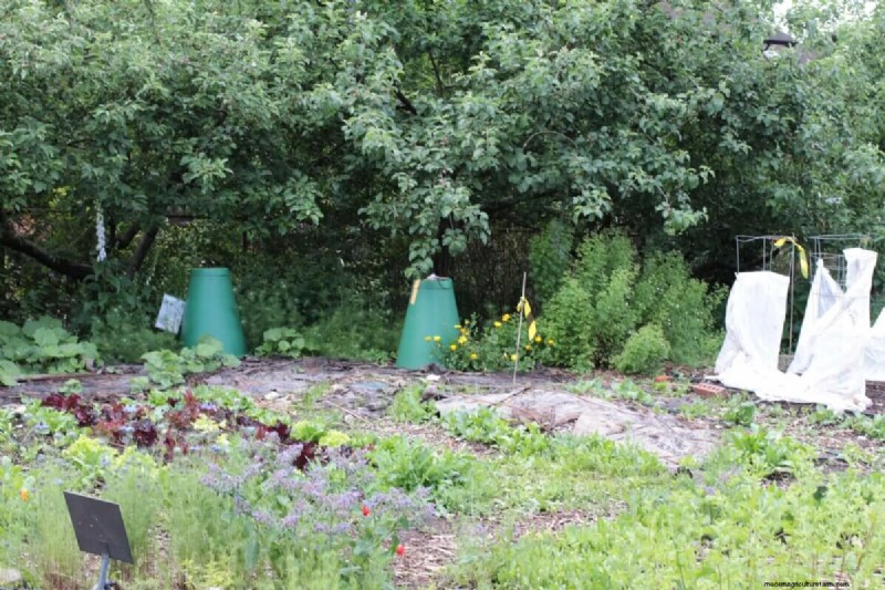 Choosing the Right Size for Your Vegetable Garden: A Comprehensive Guide