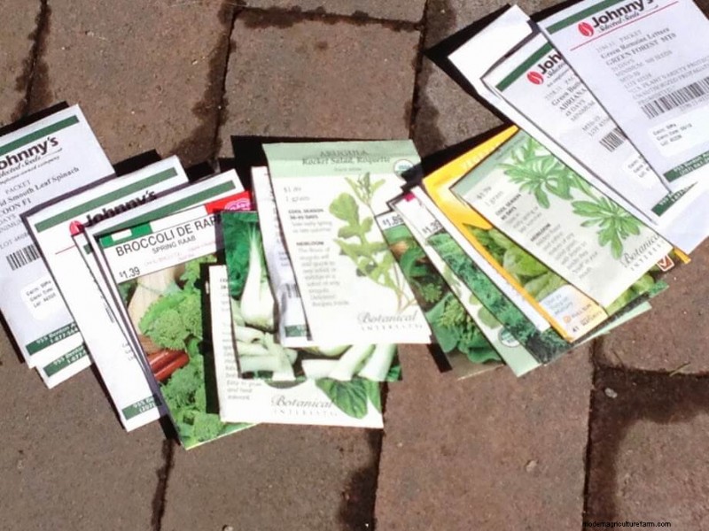 Leek Growing Guide: Planting, Care & Harvesting for Delicious Results