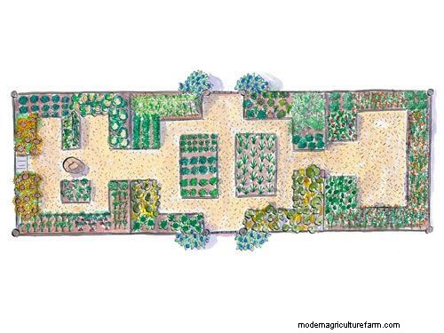 Productive Vegetable Garden Plans: Designs for Every Space
