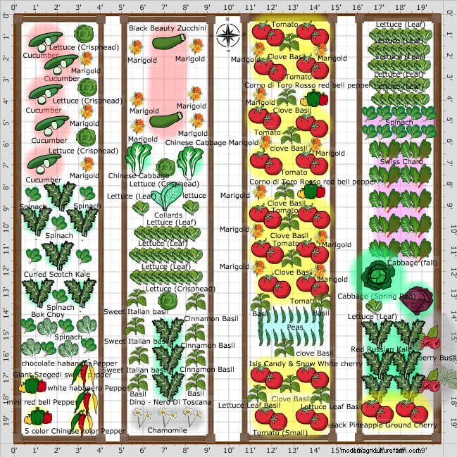 Productive Vegetable Garden Plans: Designs for Every Space