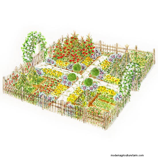 Productive Vegetable Garden Plans: Designs for Every Space