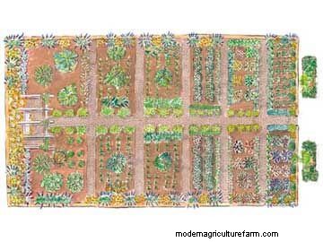 Productive Vegetable Garden Plans: Designs for Every Space