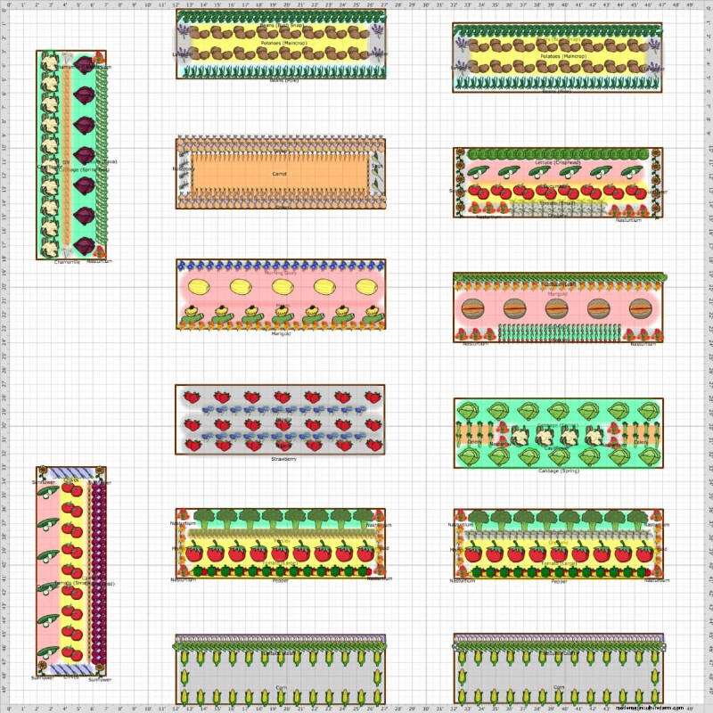 Productive Vegetable Garden Plans: Designs for Every Space