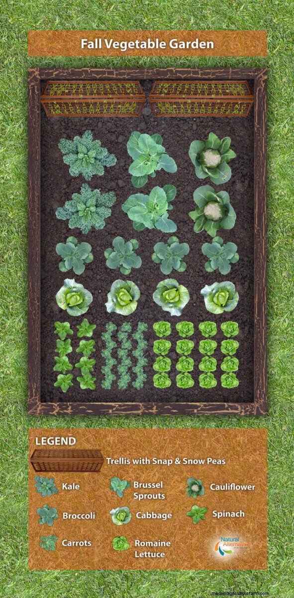 Productive Vegetable Garden Plans: Designs for Every Space