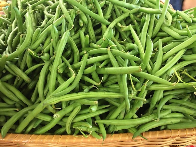 7 Easiest Vegetables to Grow for Beginners