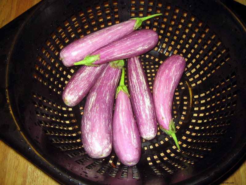 Boost Your Garden: 4 Essential Asian Vegetables to Grow