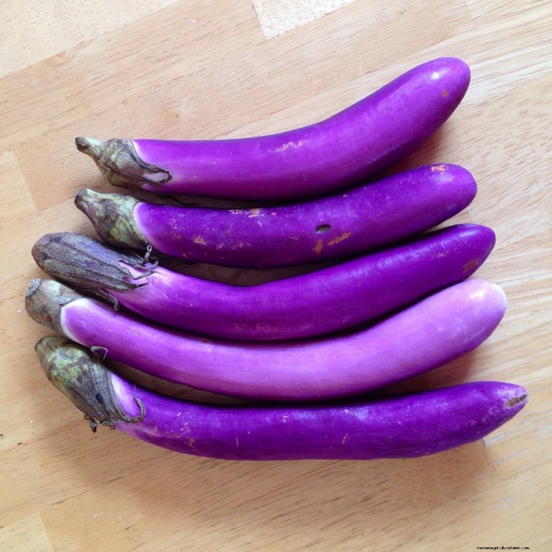 Boost Your Garden: 4 Essential Asian Vegetables to Grow