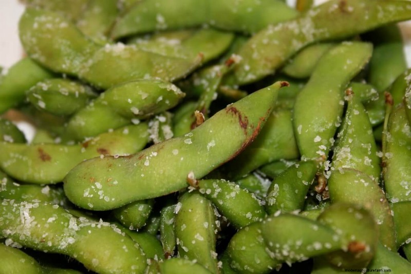 Boost Your Garden: 4 Essential Asian Vegetables to Grow