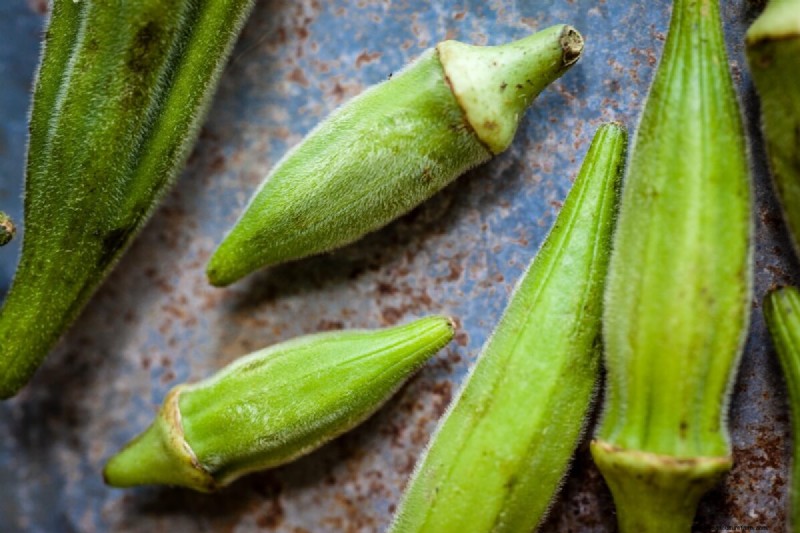 Growing Okra: A Comprehensive Guide to Planting, Care & Harvesting
