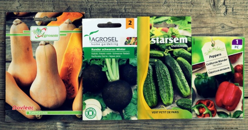 Seed Saving Guide: How to Choose, Collect & Store Garden Seeds