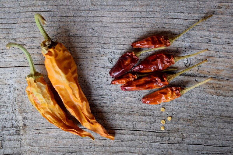 Seed Saving Guide: How to Choose, Collect & Store Garden Seeds