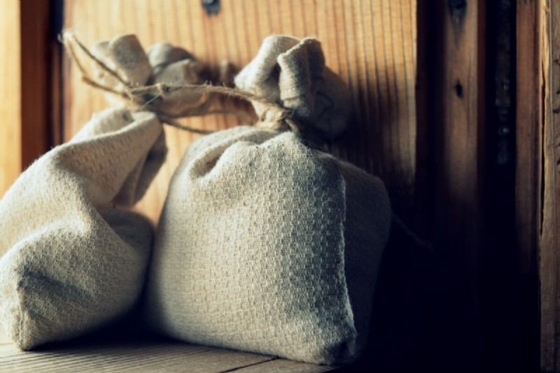 Seed Saving Guide: How to Choose, Collect & Store Garden Seeds