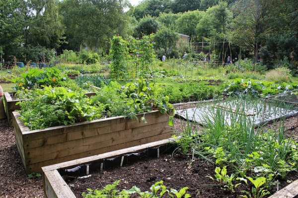 Natural Pest Control for Vegetable Gardens: A Comprehensive Guide