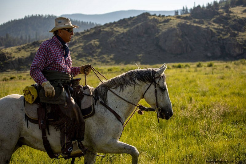 2024 s Most Inspiring Farming Stories: Innovation & the Future of Agriculture