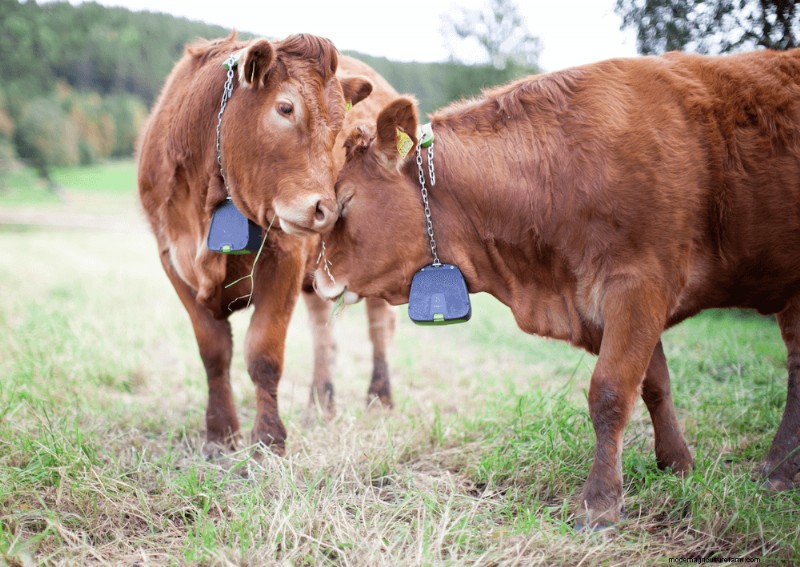 2024 s Most Inspiring Farming Stories: Innovation & the Future of Agriculture