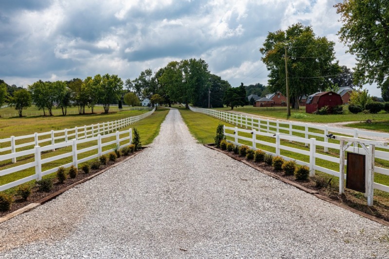 Barrier® Weed Control: Protect Your Property from Invasive Weeds