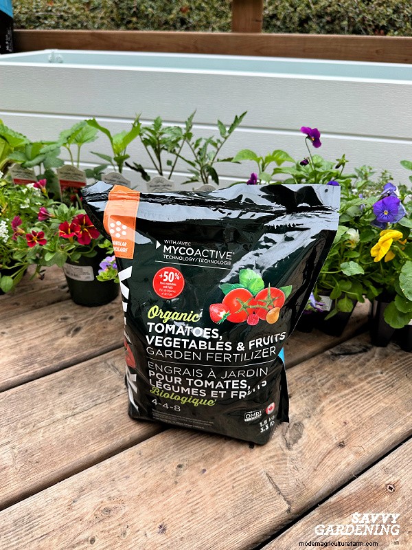 Troubleshooting Pepper Plant Problems: 7 Reasons for Low Yields & Solutions