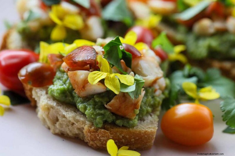 Edible Flowers: A Guide to 69 Delicious Varieties & Culinary Uses