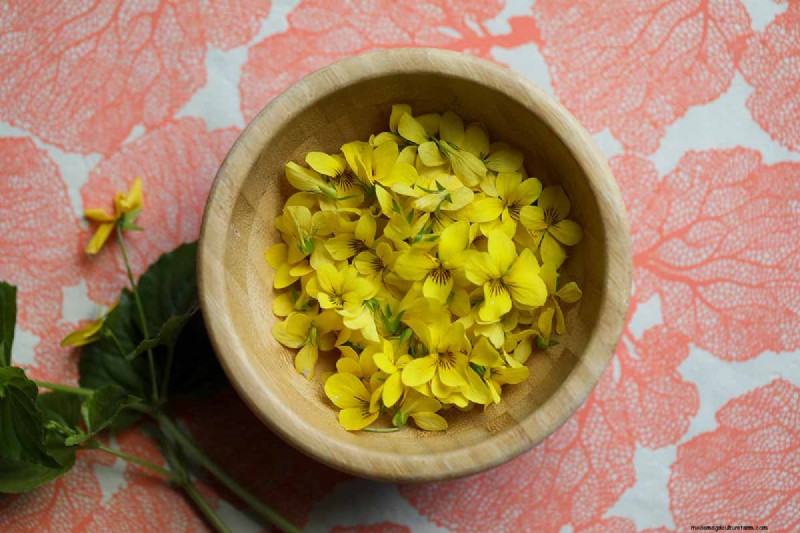 Edible Flowers: A Guide to 69 Delicious Varieties & Culinary Uses