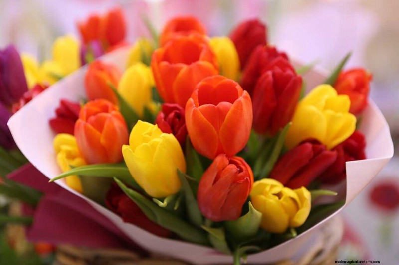 Edible Flowers: A Guide to 69 Delicious Varieties & Culinary Uses