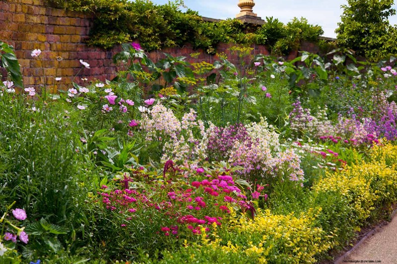 Long-Lasting Perennials: 17 Best Choices for Year-Round Beauty